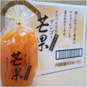 サンヨー堂 マンゴー果実ゼリー ピューレ入り 400g×6個セット