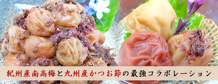 紀の国食品 紀州産南高梅かつお梅